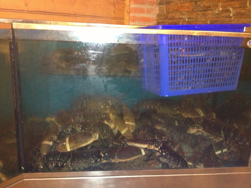 Hosteria San Emeterio อิสลา ภายนอก รูปภาพ